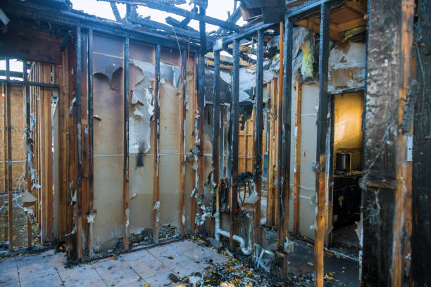 Professional Odor Removal technician working in Aurora, OH